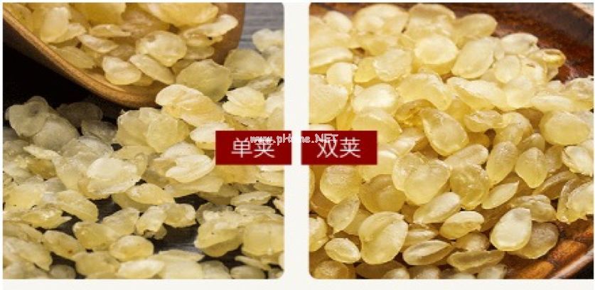 皂角之米——润燥通便、祛风消肿