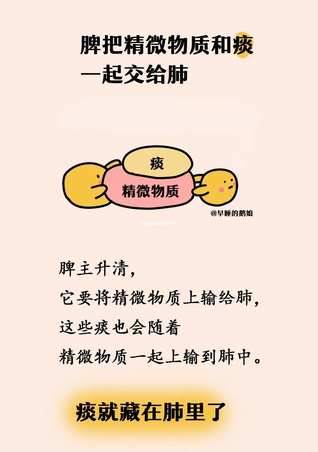 为什么会一直有痰？做明医理的父母！