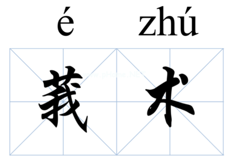 中药莪术知多少?