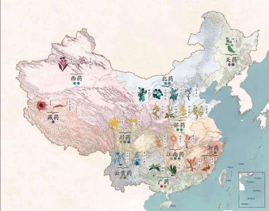 中药之美——十大道地药材