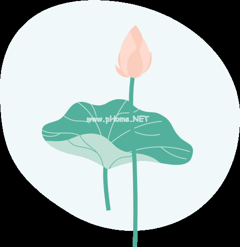 解暑灵药——金银花露