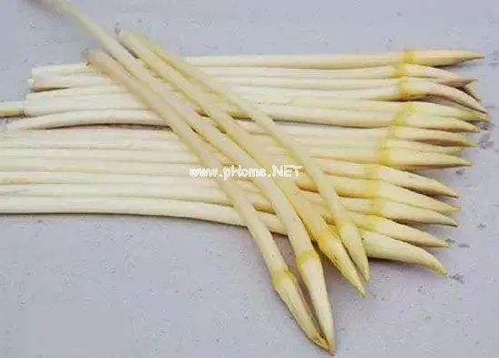 这蔬菜自带仙气，还有如此药效