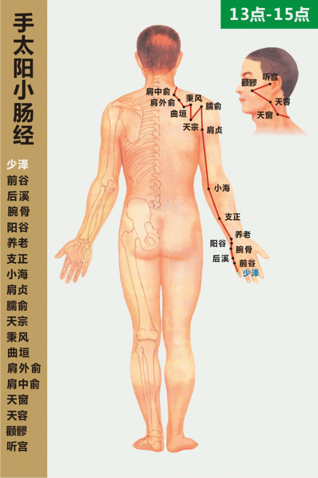 十二经络走向动画图「价值连城」