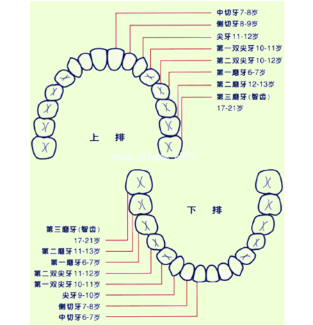 8岁男孩自己拔牙，危险指数五颗星，拔牙千万不要乱来