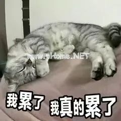 你最受不了老公哪一点？内容过于真实！