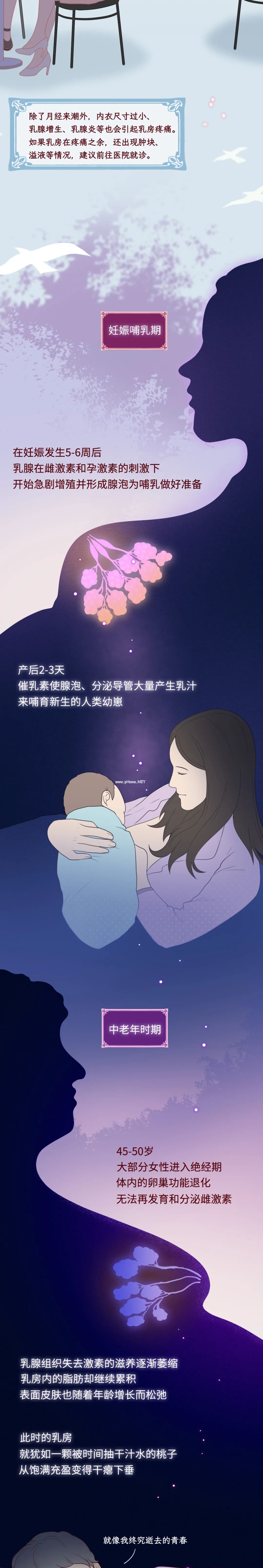 女性乳房发育全过程曝光（男生禁看）