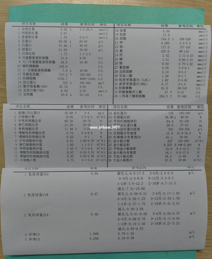 本以为是吃坏肚子，直到孩子突然倒地，双眼上翻，浑身抽搐……