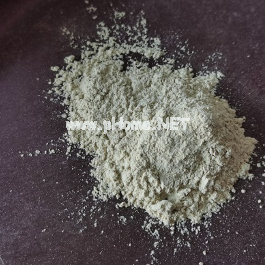 三七粉用途大，药师教你辨真假