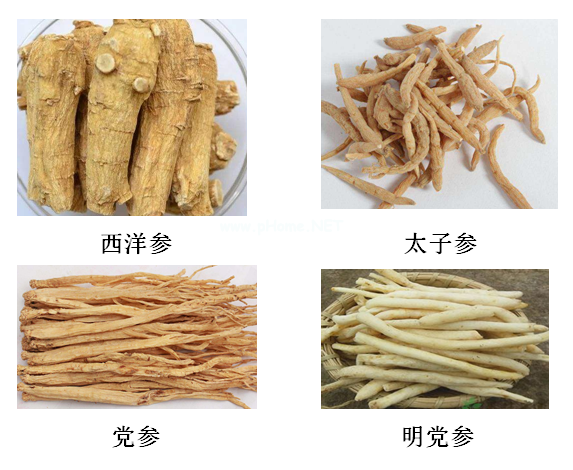 手把手教你认识各种“参” 手把手教你认识各种“参”