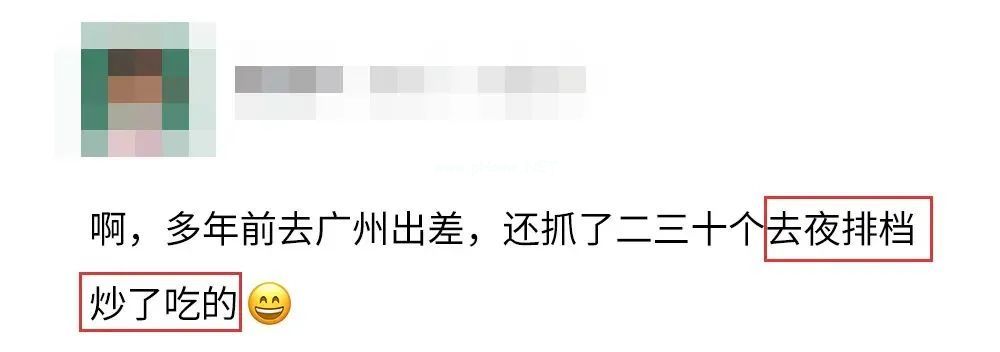 下雨后看到这种动物，千万别碰！立刻弄死！