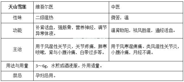 带您走近传说中的“天山雪莲”