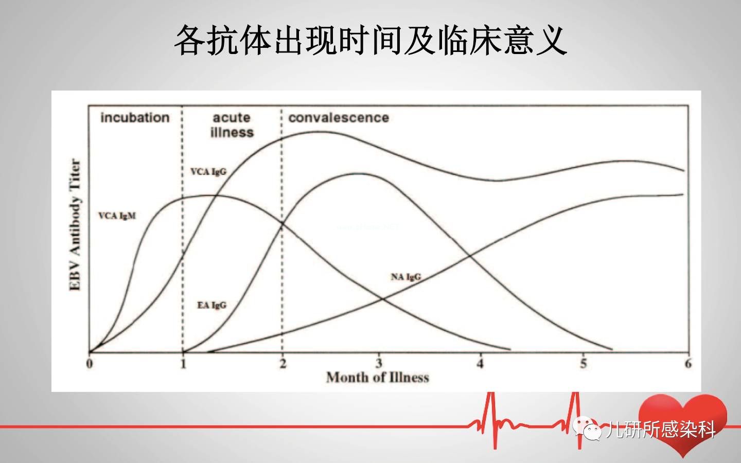 儿童主要非肿瘤性EB病毒感染相关疾病的诊断和治疗原则建议——第一辑