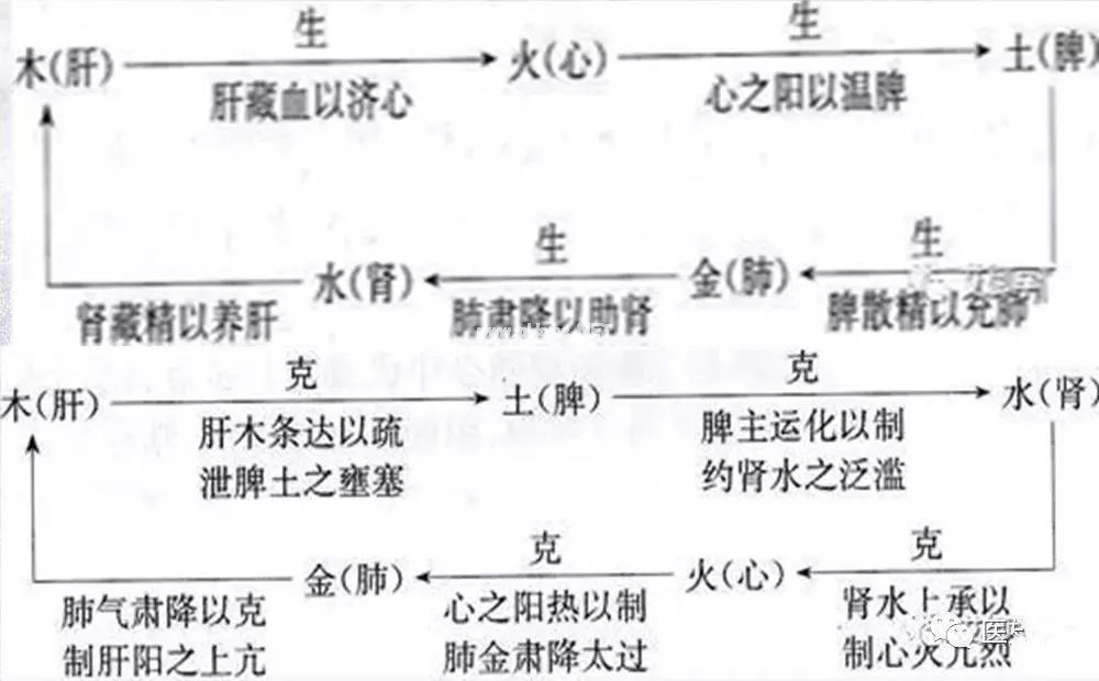 图解中医，33条帮你更好地了解中医思维！