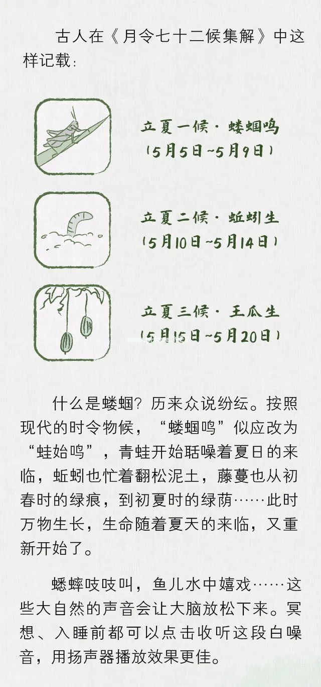 立夏：听，是谁叫醒了夏天