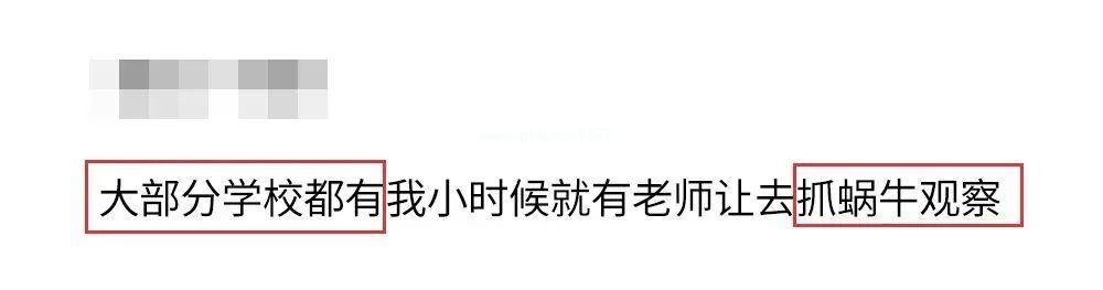 下雨后看到这种动物，千万别碰！立刻弄死！