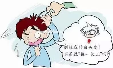 一味古今调理白发的奇药——墨旱莲