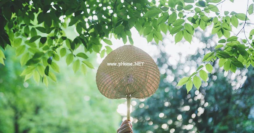 夏天，两个小动作，认真呵护我们的“心”！
