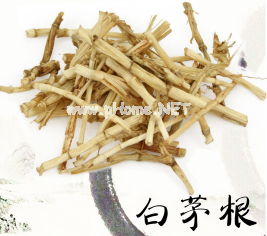 不起眼的“草根”,却是个下火的神器 不起眼的“草根”,却是个下火的神器