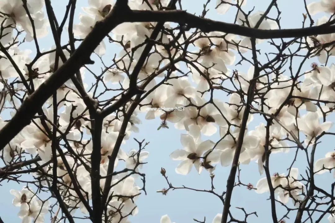 上新 | 为什么阴虚的人，总是老得比较快？
