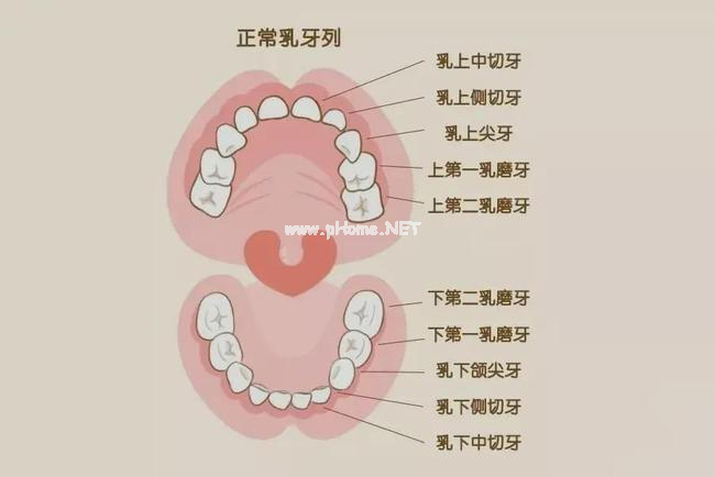 8岁男孩自己拔牙，危险指数五颗星，拔牙千万不要乱来