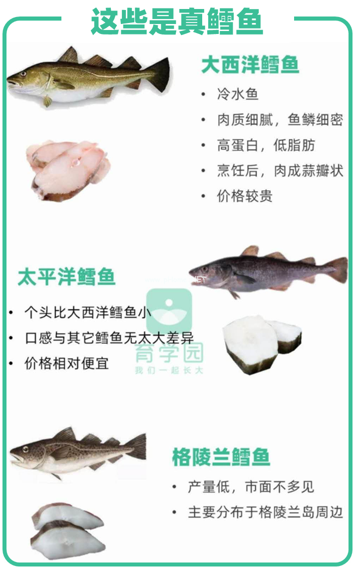 孩子吃鱼更聪明？这4种鱼一口都别多吃！