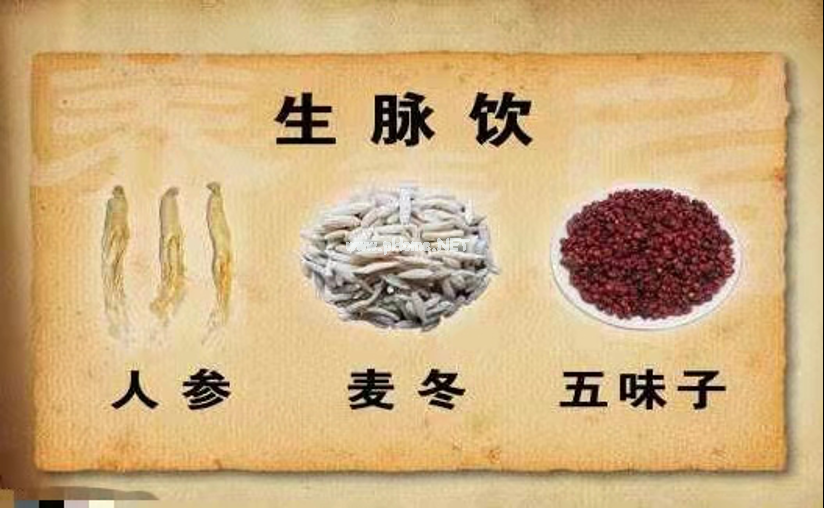 麦冬与麦冬有关的生脉饮