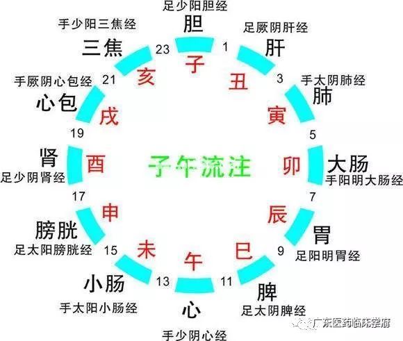 子午流注 , 是中医学最有特色的理论!