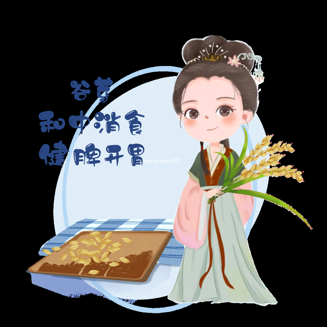 夏已至——藏在节气里的中药