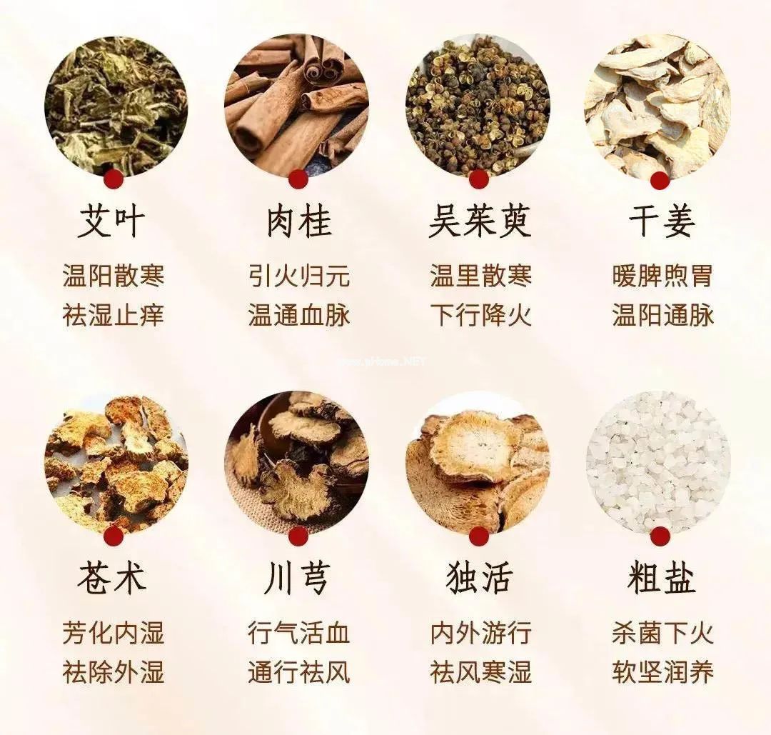 懒人的养阳祛湿法，全身通畅，补足阳气！