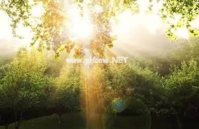 早养胃，午养心，晚养百脉：夏季养生三件大事，不可不知！